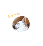 ロココ2（個別スタンプ：7）