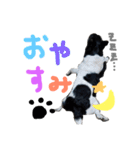 小次郎の小言（個別スタンプ：2）