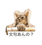 我が家の猫スタンプ 3匹の猫たち（個別スタンプ：5）