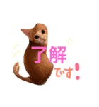 猫のpopo★（個別スタンプ：7）