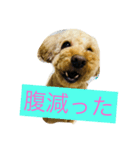 もこだよ！！！！！（個別スタンプ：4）