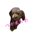 もこだよ！！！！！（個別スタンプ：7）