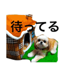 ウチのブサカワ犬   うに（個別スタンプ：11）