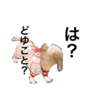 ウチのブサカワ犬   うに（個別スタンプ：14）