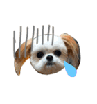 ウチのブサカワ犬   うに（個別スタンプ：16）
