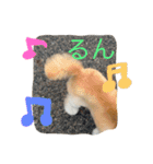 ウチのブサカワ犬   うに（個別スタンプ：23）