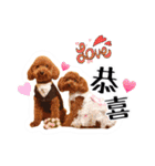 We are poodles（個別スタンプ：5）