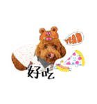We are poodles（個別スタンプ：7）