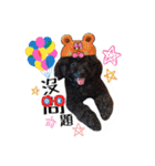 We are poodles（個別スタンプ：8）