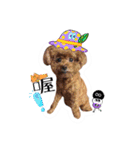 We are poodles（個別スタンプ：9）