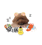 We are poodles（個別スタンプ：10）