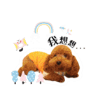 We are poodles（個別スタンプ：11）