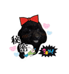 We are poodles（個別スタンプ：12）