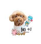 We are poodles（個別スタンプ：13）