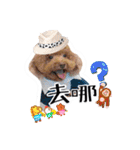 We are poodles（個別スタンプ：14）
