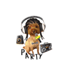 We are poodles（個別スタンプ：17）