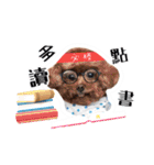 We are poodles（個別スタンプ：18）