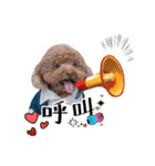 We are poodles（個別スタンプ：19）