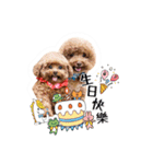 We are poodles（個別スタンプ：24）