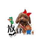 We are poodles（個別スタンプ：27）