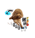 We are poodles（個別スタンプ：29）