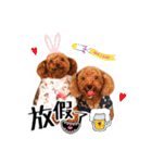 We are poodles（個別スタンプ：30）