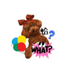 We are poodles（個別スタンプ：31）