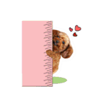 We are poodles（個別スタンプ：35）
