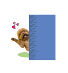 We are poodles（個別スタンプ：36）