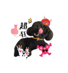 We are poodles（個別スタンプ：37）