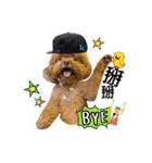 We are poodles（個別スタンプ：38）