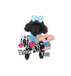 We are poodles（個別スタンプ：39）