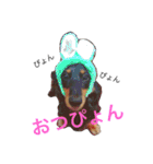 ぴぃまろ日和。（個別スタンプ：7）