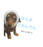ぴぃまろ日和。（個別スタンプ：12）