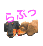 ぴぃまろ日和。（個別スタンプ：14）