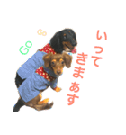 ぴぃまろ日和。（個別スタンプ：16）