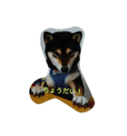 Kuroshiba Ponta（個別スタンプ：10）
