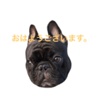 Beeさんの日常（個別スタンプ：2）