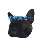 Beeさんの日常（個別スタンプ：3）
