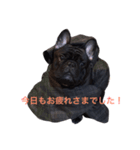 Beeさんの日常（個別スタンプ：5）