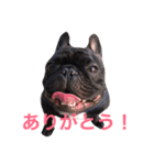 Beeさんの日常（個別スタンプ：8）