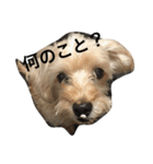 ティアラ 2（個別スタンプ：3）