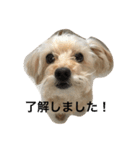ティアラ 2（個別スタンプ：15）