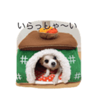 3dogs is family（個別スタンプ：8）