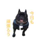 Beeさんの日常2（個別スタンプ：1）
