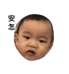 tasi baby（個別スタンプ：16）