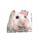 みるたんの日常（個別スタンプ：3）