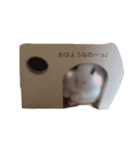 みるたんの日常（個別スタンプ：4）