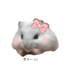 みるたんの日常（個別スタンプ：6）