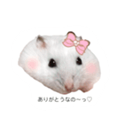 みるたんの日常（個別スタンプ：8）